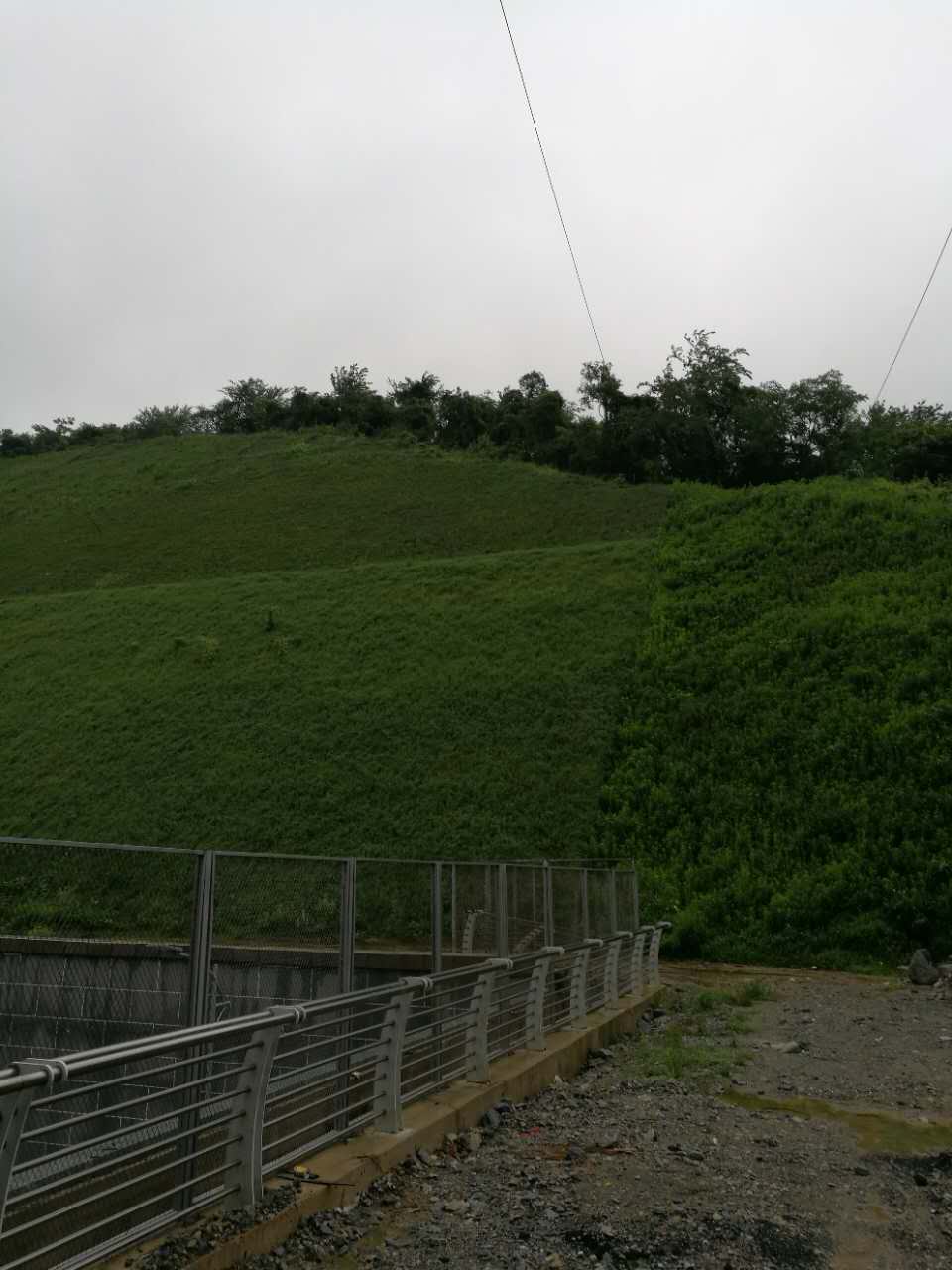 2017062614984642921604522507.jpg 2017062614984642921604522507.jpg